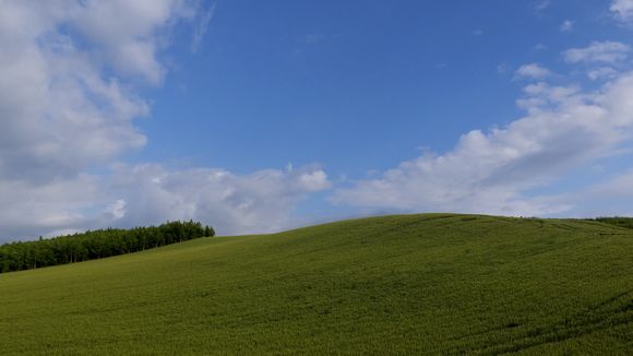 丘と空.jpg