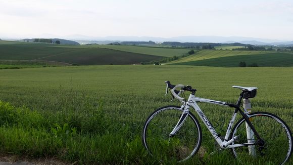 丘と自転車.jpg
